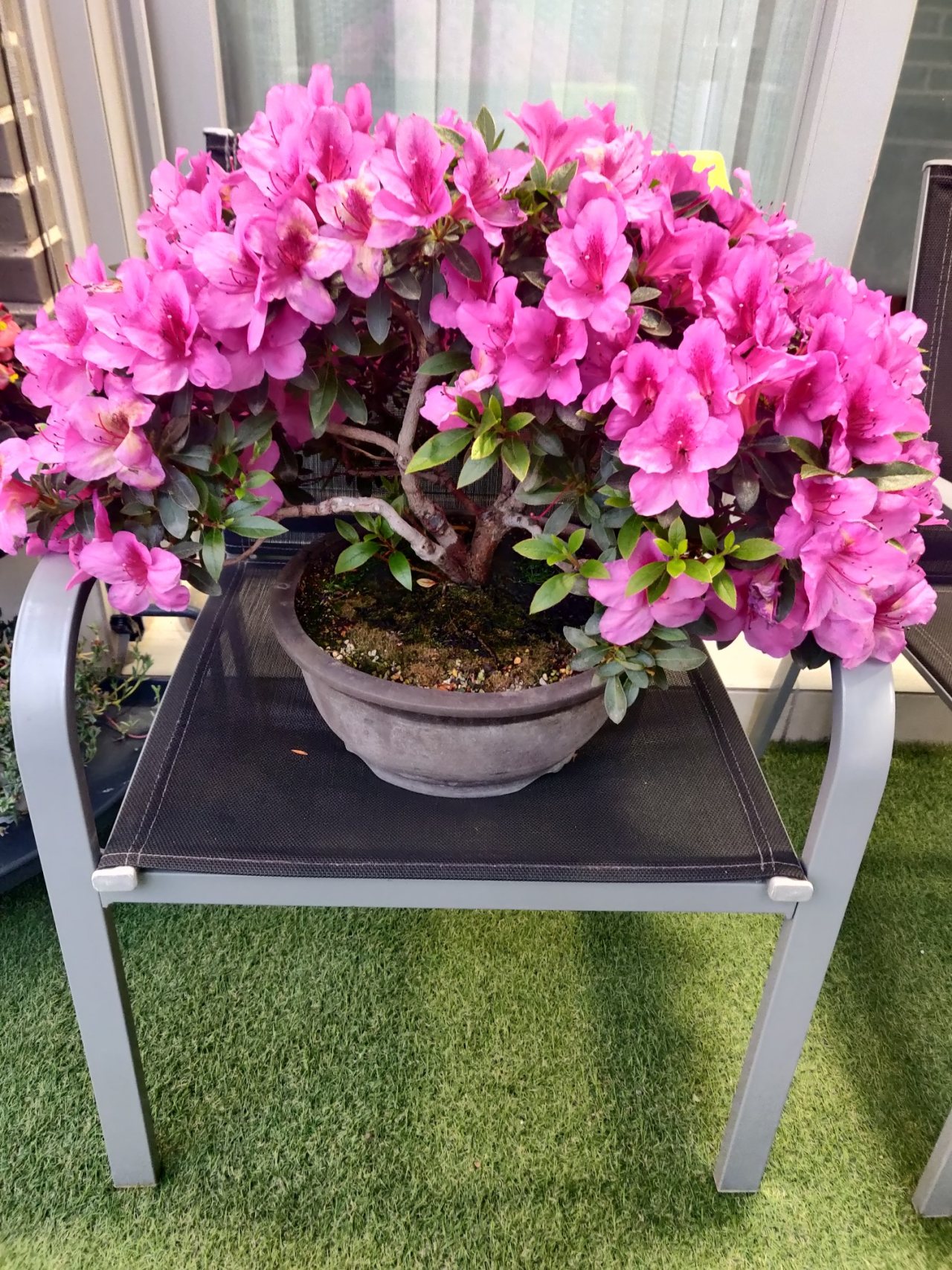 Photo 19