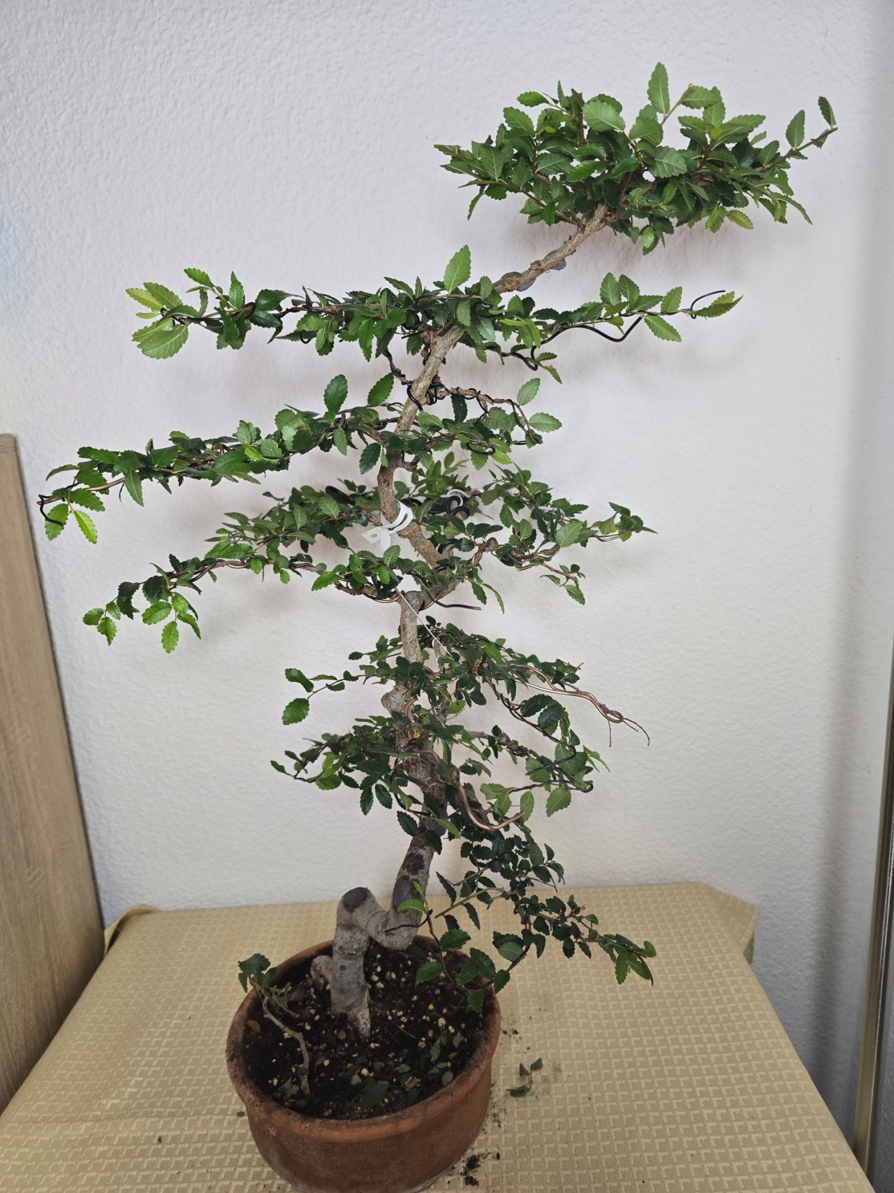 Photo 17