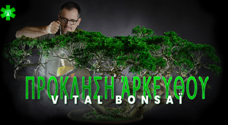 Πρόκληση Juniperus με το Vital Bonsaï