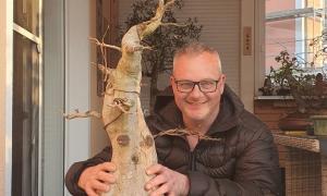 Walter Venne