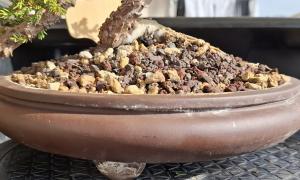 Pot rond 22