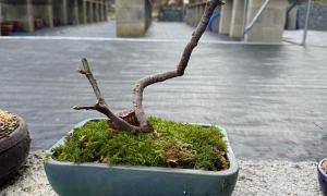 Green rect 
