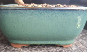 Pot rectangle 11x14