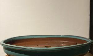 Large Oval
