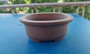Kusamono small grey ??