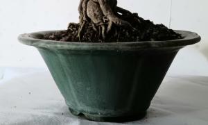 Pot émaillé japonais conique