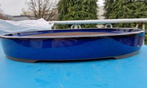Big blue oval japanese