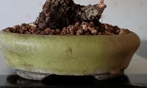 Shohin : pot émaillé John Pitt 3