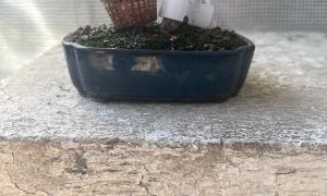 Reçu rond