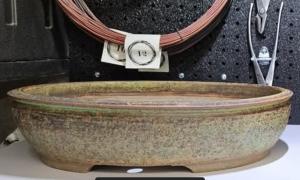 Sara Rayner 