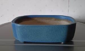 Shohin : pot émaillé D. Michaud 3