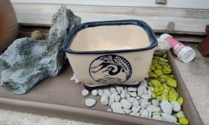 Pot Blanc japon
