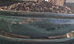 Pot ovale soucoupe 17x23