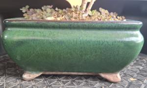 Pot rectangle 10x12