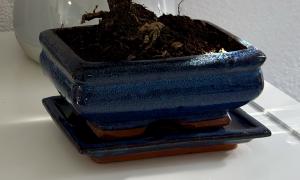 Kleiner blauer Topf (quadratisch)