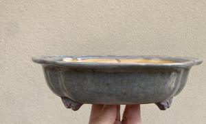 Pot azalée Martine Geoffroy 