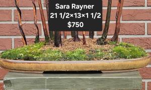 Sara Rayner 