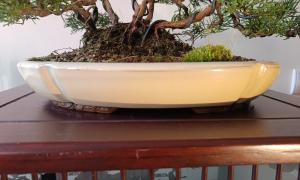 Ovale émaillée blanc cassé 32 cm
