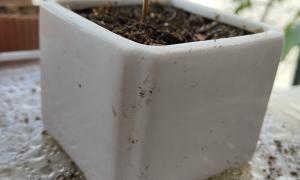 POT.CR02.