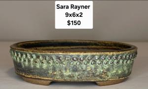Sara Rayner 