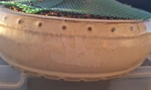 Pot rond 22