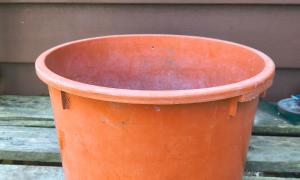 Training Drum 003