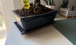 Vaso Blu Profondo