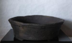 Pot pour conifère John Pitt 1