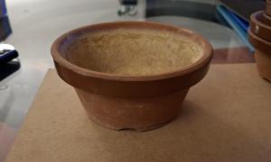 Pot de culture 14 (5)