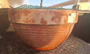 Pot de culture 18 (3)