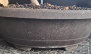 Pot de culture plastique ovale 17x22