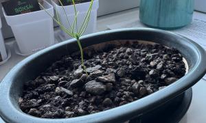 Mini Garten Keramik 