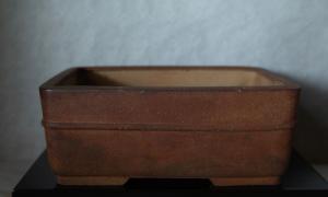Pot pour conifère profond