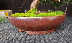 Pot Toulouse 