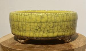 Yellow Crackle