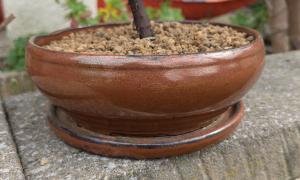 Ocre rond