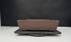 Gyozan
